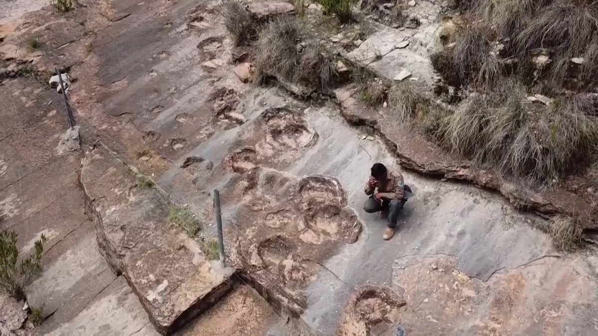 Jihoamerická dinosauří dálnice. Největší soubor stop čítá 18 tisíc zkamenělých otisků